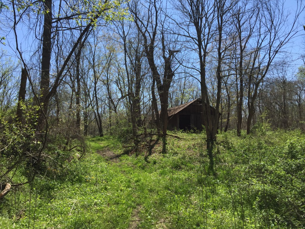 Layout of the&nbsp;land