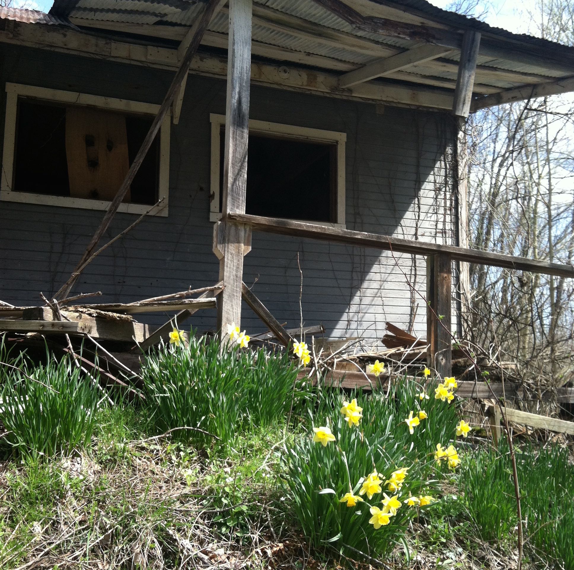 IMG_0359 - Version 2