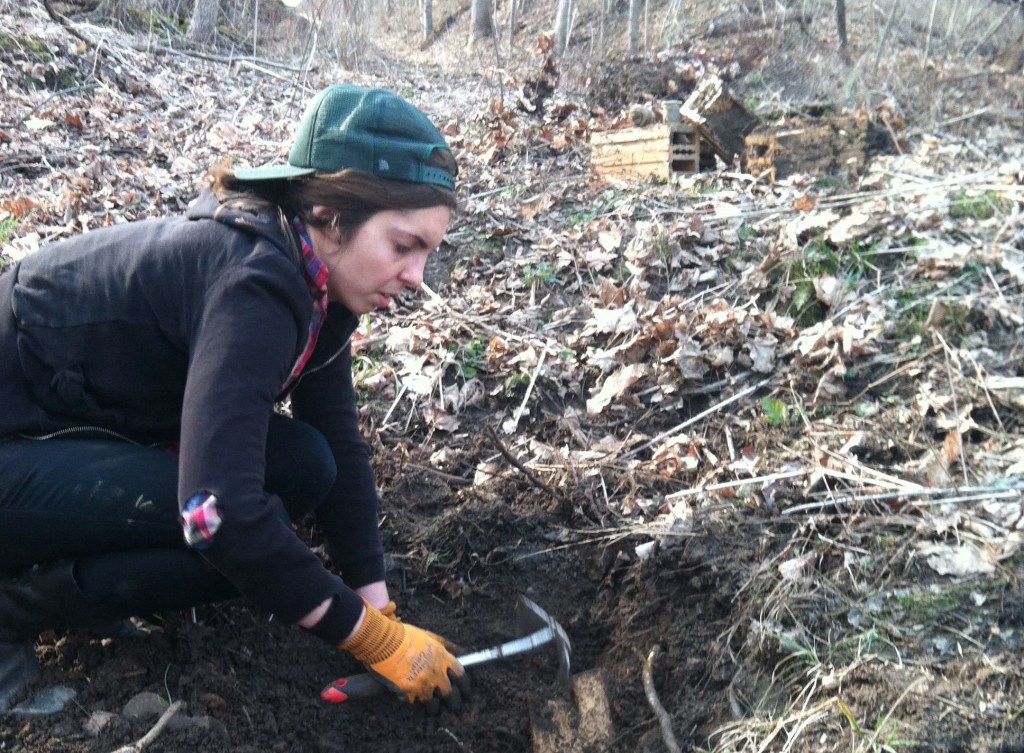 Excavating the Middens