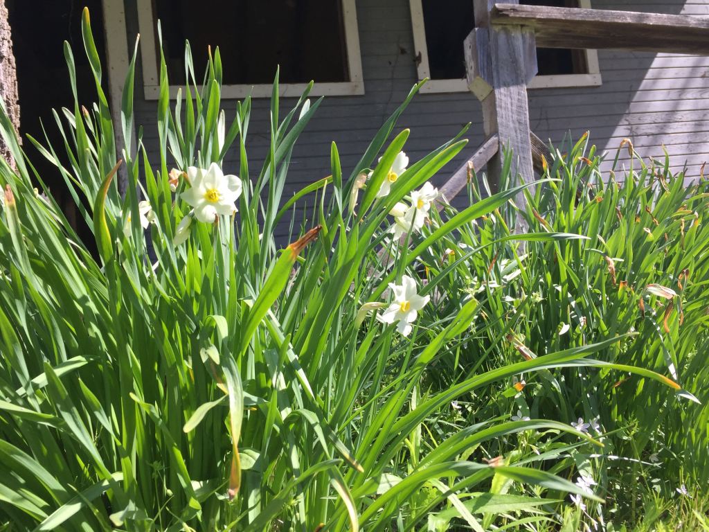 Weekend Getaway: An Interview with Grandpa&nbsp;(II)