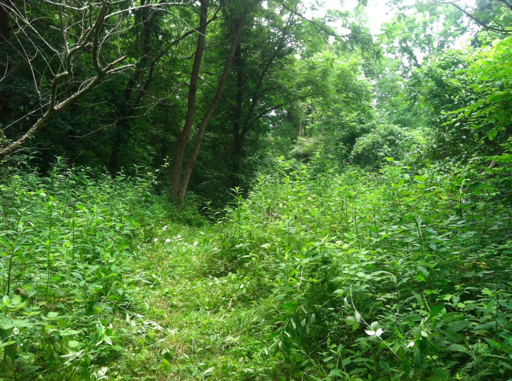 Of mead and&nbsp;weeds