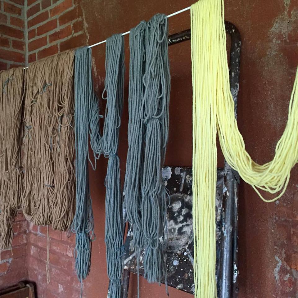 12342540_1495719430758538_5987952891800420092_n