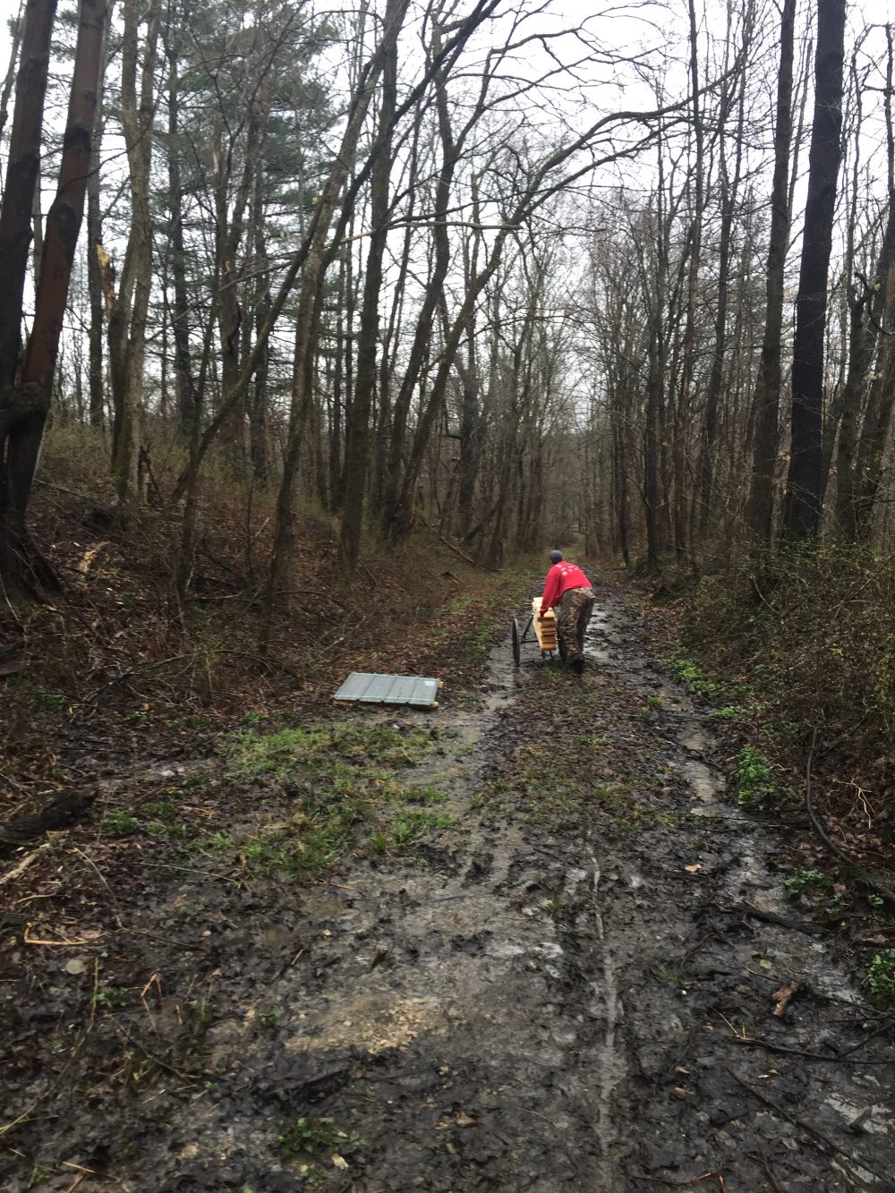 Through the muck and the&nbsp;mire