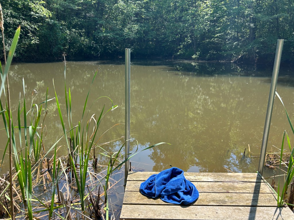 trailblazing and paying&nbsp;attention