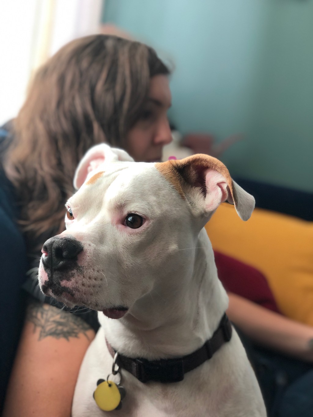 Rituals and grieving