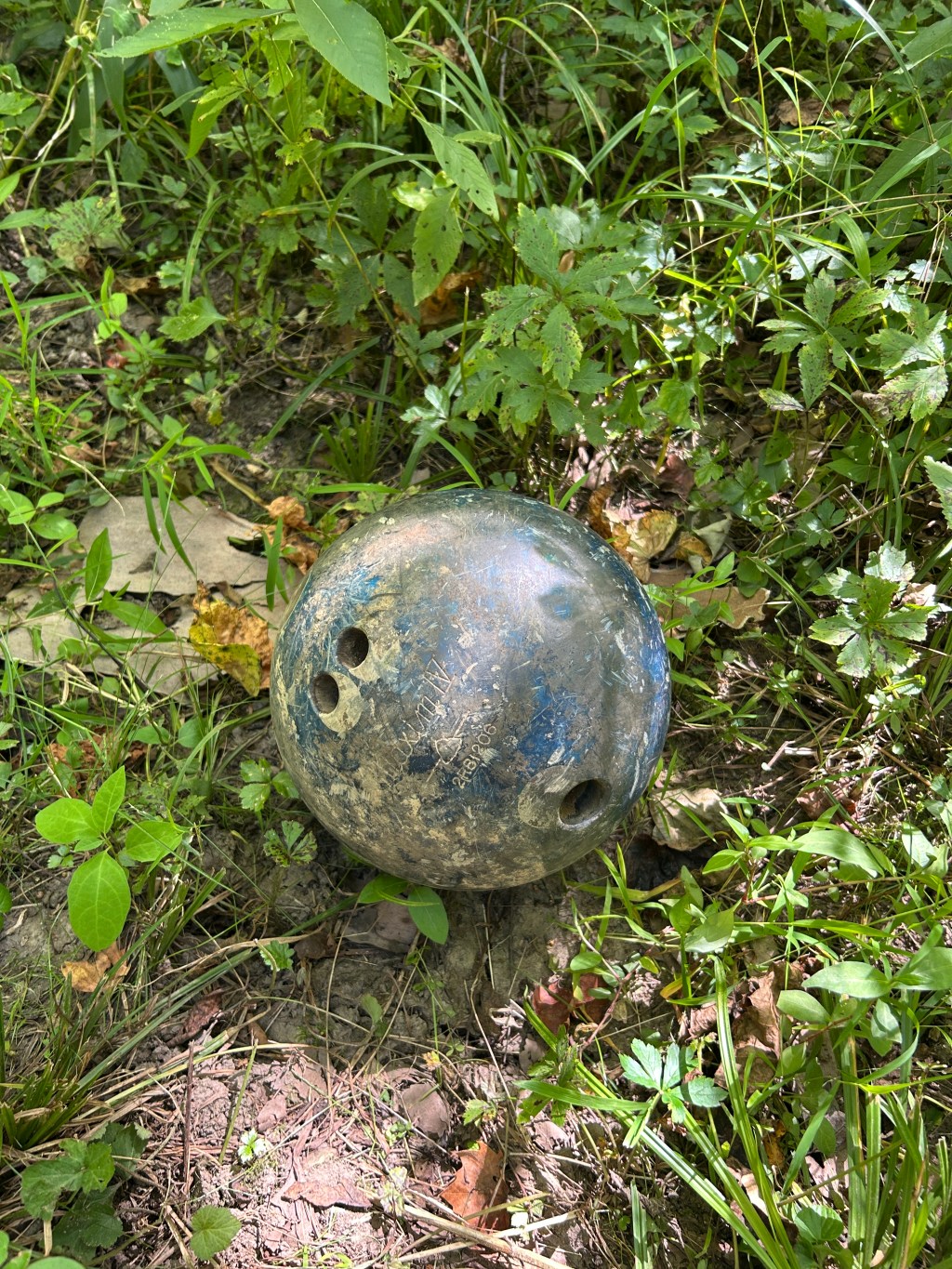 Bowling in the Woods:&nbsp;intro